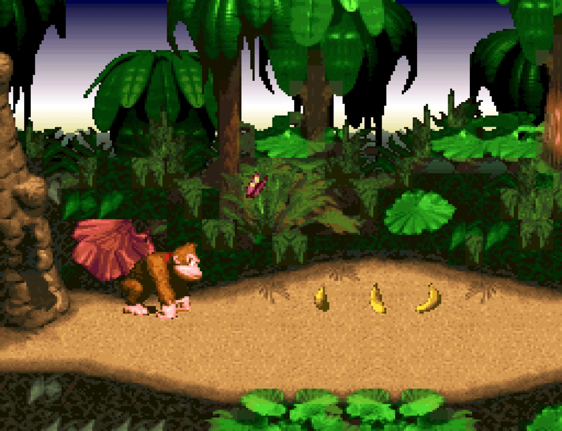 Donkey Kong Country